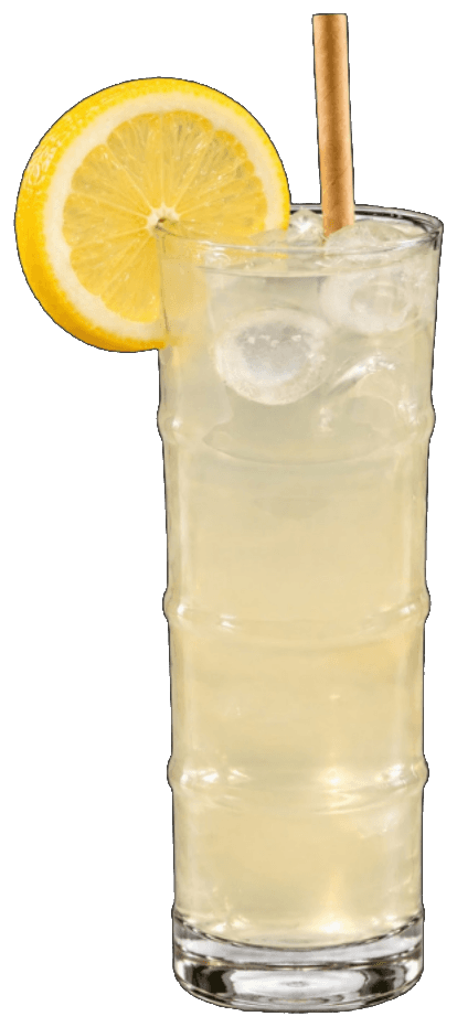 Citronnade maison avec glaçons et tranche de citron